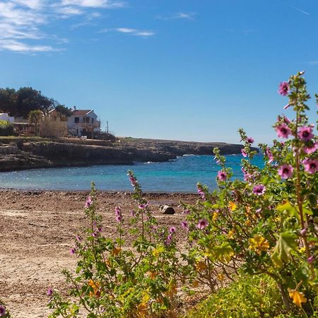 Arbocers Villa Ciutadella  Dış mekan fotoğraf